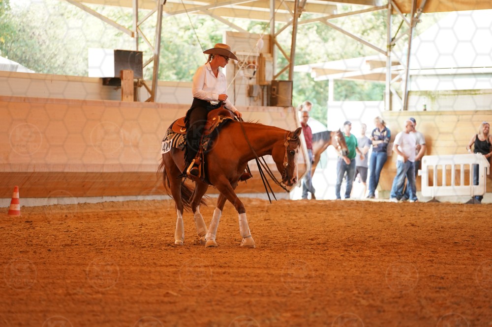 s_A_909232.JPG
